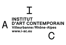 Institut DArt